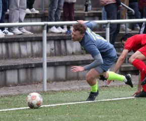 FCW - SGM Birkenhard16.jpg