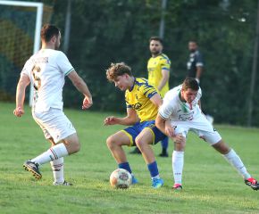 FCW - SGM Ringschnait26.jpg