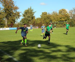 SGM RIngschnait - FCW11.jpg