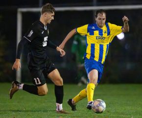 fcw - ringschnait2.jpg