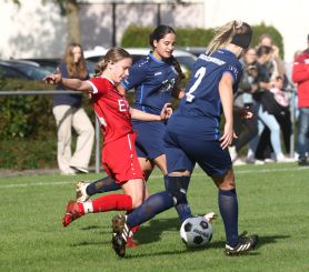 Baltringen - FCW15.jpg