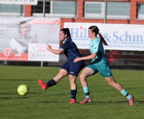 Bellamont III-FCW32.jpg