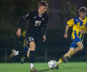 fcw - ringschnait6.jpg