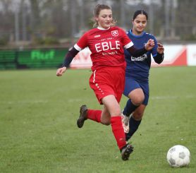 Baltringen (2) - FCW31.jpg