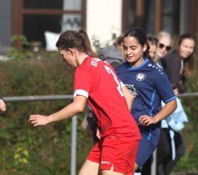 Baltringen - FCW11.jpg