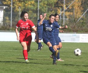 Baltringen - FCW44.jpg