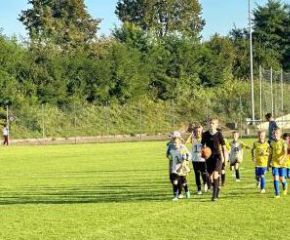 E1 Sulmetingen - FCW2.jpg