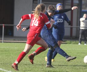 SV Baltringen (2) - FCW50.jpg