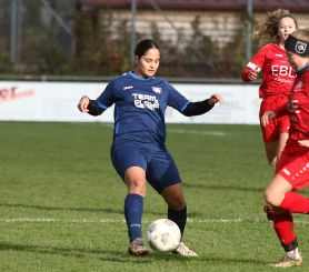 Baltringen (2) - FCW10.jpg