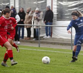 Baltringen (2) - FCW38.jpg