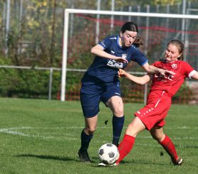 Baltringen - FCW36.jpg