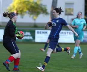 Bellamont III-FCW35.jpg