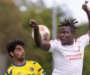 FCW - Neufra7.jpg