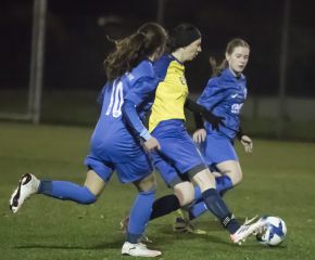 FCW II - Bellamont III13.jpg