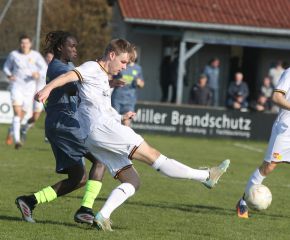 Laupertshausen - FCW27.jpg