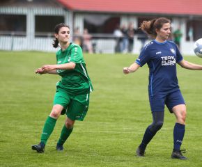 Alberweiler II - FCW16.jpg