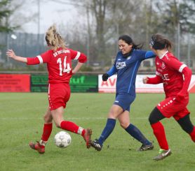 Baltringen (2) - FCW23.jpg