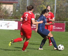 Baltringen - FCW16.jpg