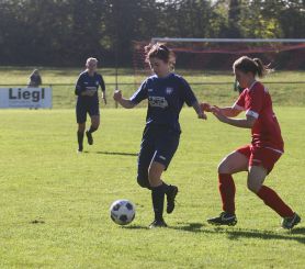 Baltringen - FCW53.jpg