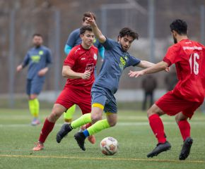 FCW - Birkenhard8.jpg