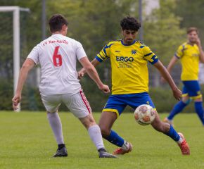 FCW - Neufra10.jpg