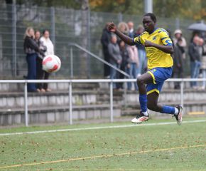 FCW - Schwendi4.jpg