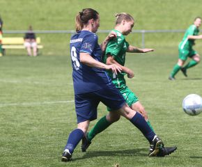 Alberweiler II - FCW33.jpg