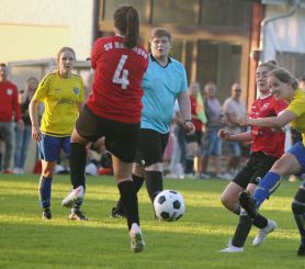 Baltringen - FCW54.jpg