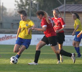 Baltringen - FCW60.jpg