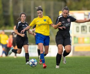 FCW - Frohnstetten5.jpg