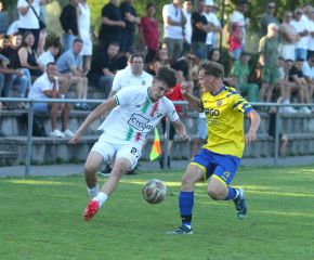 FCW - SGM Ringschnait4.jpg