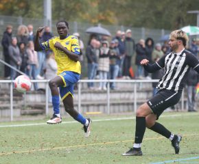 FCW - Schwendi3.jpg