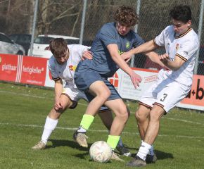 Laupertshausen - FCW6.jpg