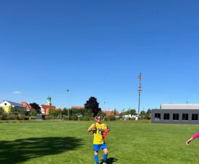 B1 Meister6.jpg