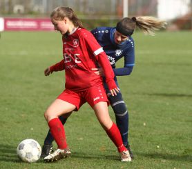 Baltringen (2) - FCW13.jpg