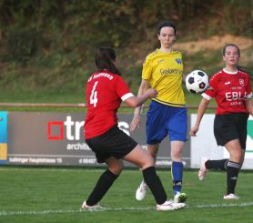 Baltringen - FCW76.jpg