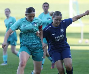 Bellamont III-FCW24.jpg