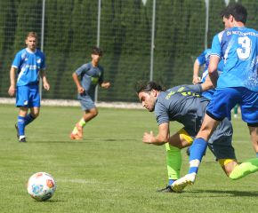 Betzeneweiler - FCW11.jpg