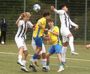 FCW - Ailingen10.jpg