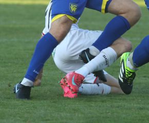 FCW - SGM Ringschnait21.jpg