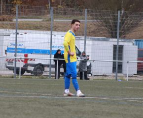 Laupheim II - FCW I4.jpg