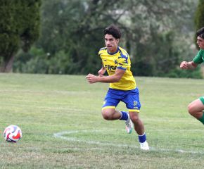 Seekirch - FCW4.jpg