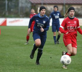 Baltringen (2) - FCW3.jpg