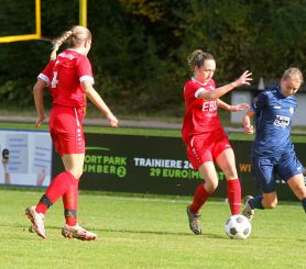 Baltringen - FCW37.jpg