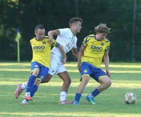 FCW - SGM Ringschnait5.jpg